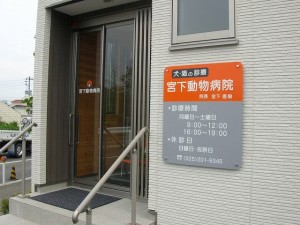 写真①